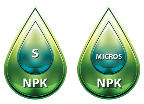 NPK + MICROS